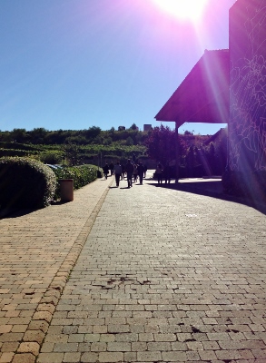 Encuentro_foreros_Rioja_2013_Marqués_Riscal_camino_bodga